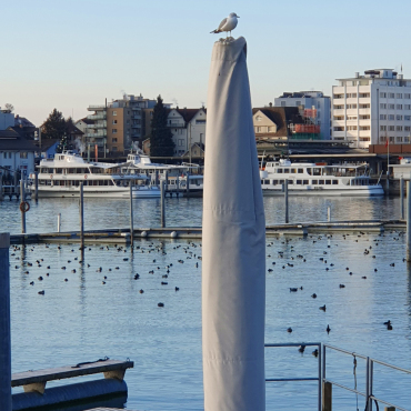 Winterzauber – Sonne, Schnee und Spass - Auch im Jahr 2026 immer den Überblick bewahren. Leserfoto: Hansjürg Oesch  / 4 / 2026