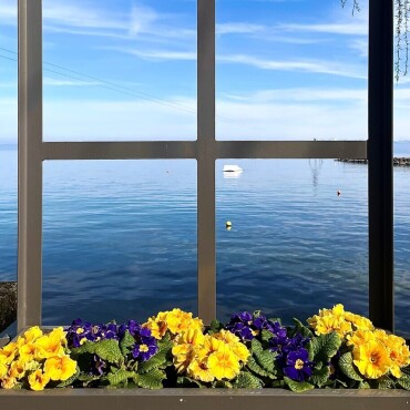 Fenster zum Frühling - Leserfoto: Ruedi Dubs / 33 / 2024