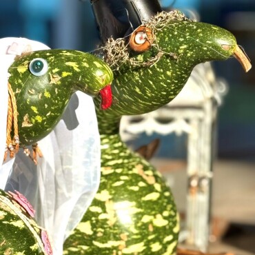 Ein seltsames Pärchen logiert im Pier-Garten - Leserfoto: Ruedi Dubs / 26 / 2025