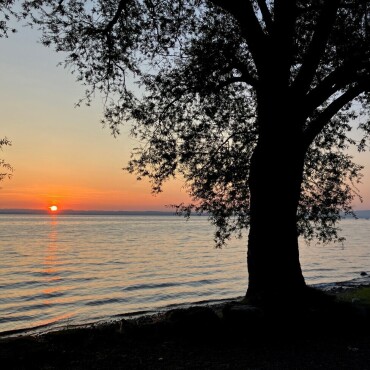 Morgenstund, wunderbar  - Leserfoto: Christa Burkhalter / 17 / 2025