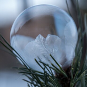 Winterzauber – Sonne, Schnee und Spass - Gefrorene Seifenblasen. Leserfoto: Dani Rüede  / 2 / 2026