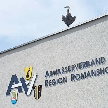 Etwa ein neues Logo für den AV Romanshorn? - Leserfoto: Räto Joos / 54 /2023