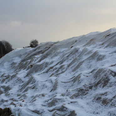 Salmsach: Wo Berge sich erheben - Foto: Trudi Krieg  / 2025 / 31