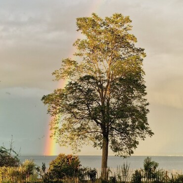 Bunter Gruss aus dem Himmel - Leserfoto: Remo Bischof  / 76 / 2024