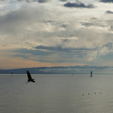Wolkenspiel Morgenstimmung am See - Foto: Ursi Mathy / 94 /2022