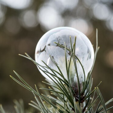 Winterzauber – Sonne, Schnee und Spass - Gefrorene Seifenblasen. Leserfoto: Dani Rüede  / 3 / 2026