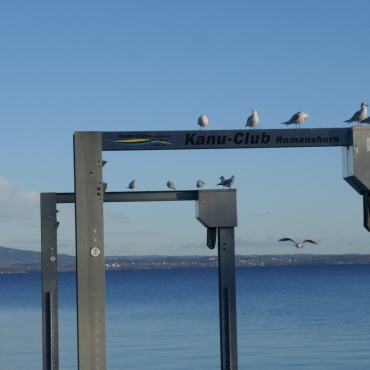 Friedlicher Morgen am See - Leserfoto: Ursi Marthy  / 01 / 2025