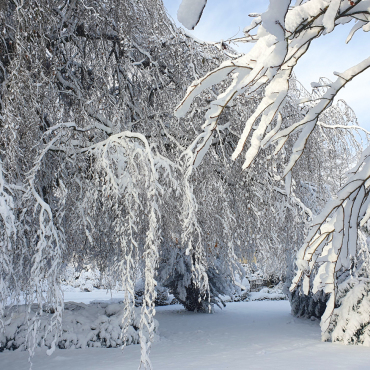 Kurzer Winterzauber zum  Geniessen - Leserfoto: Hansjürg Oesch / 95 / 2024