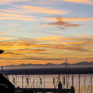 Ein schöner Sonnenaufgang - Ein schöner Sonnenaufgang: Leserfoto: Monika Baumann