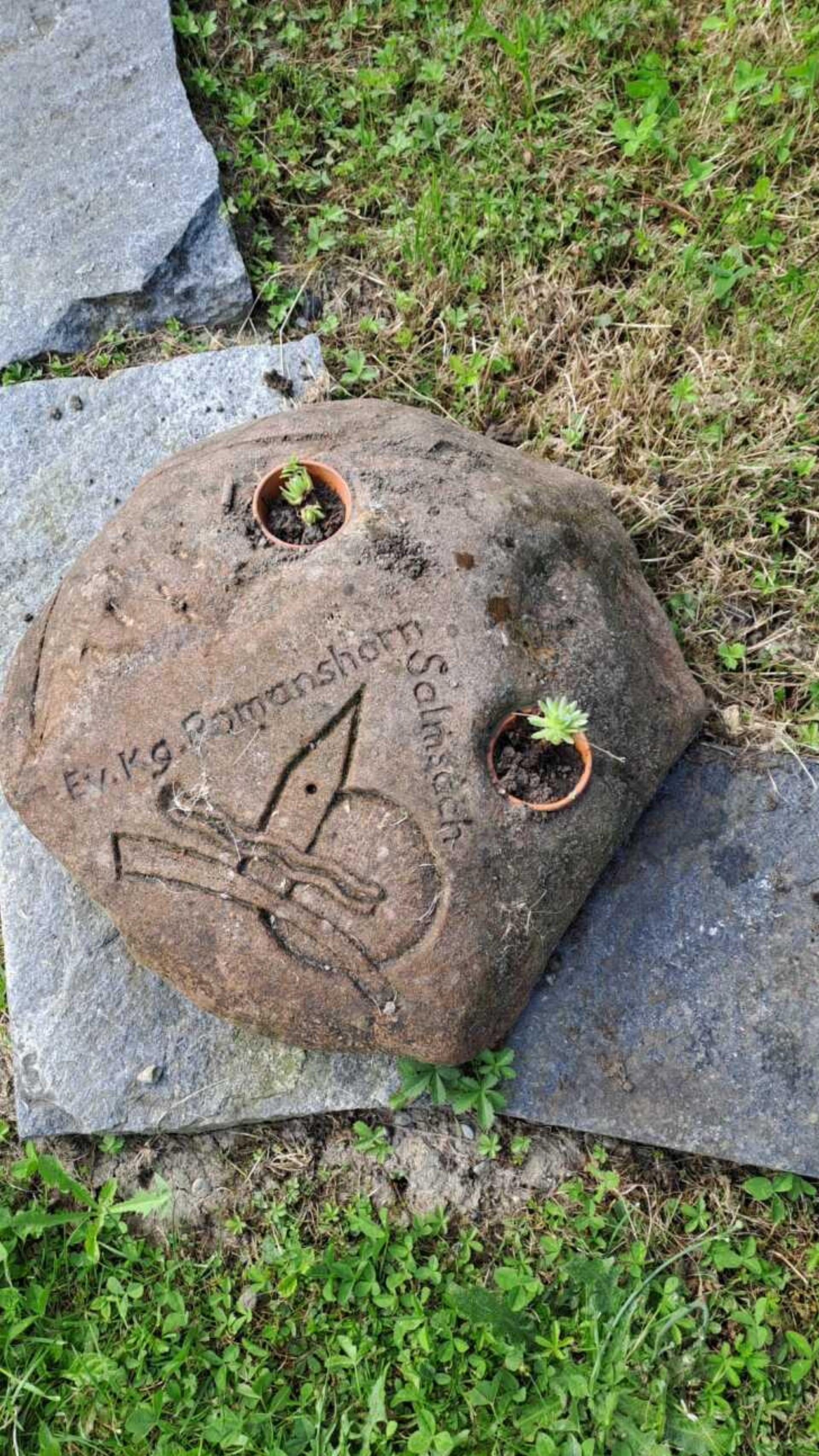 «Ist das bio oder kann das weg?»