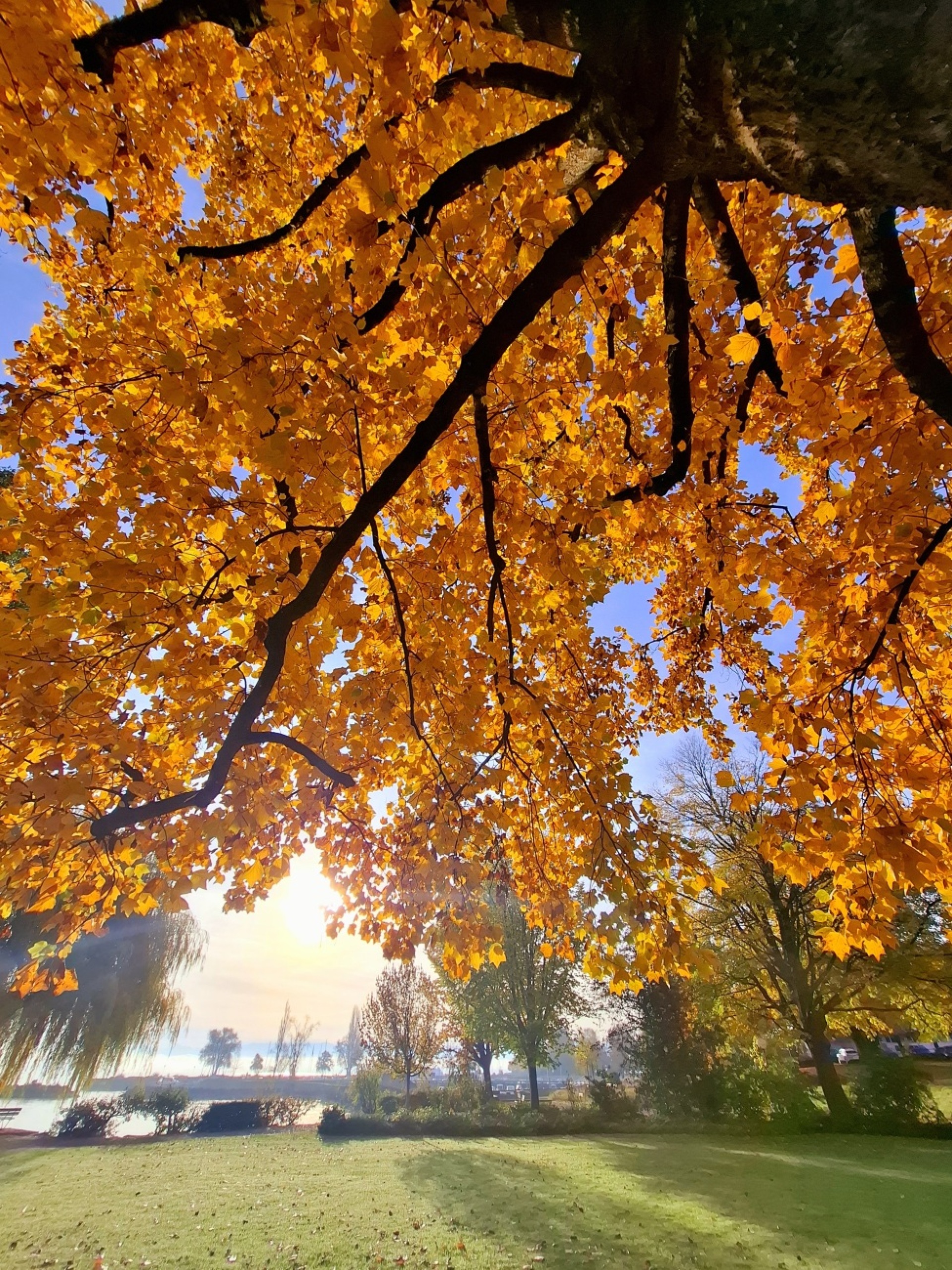 Goldrausch - Das Bild wird blockiert. – Möglicherweise durch einen aktiven Adblocker.