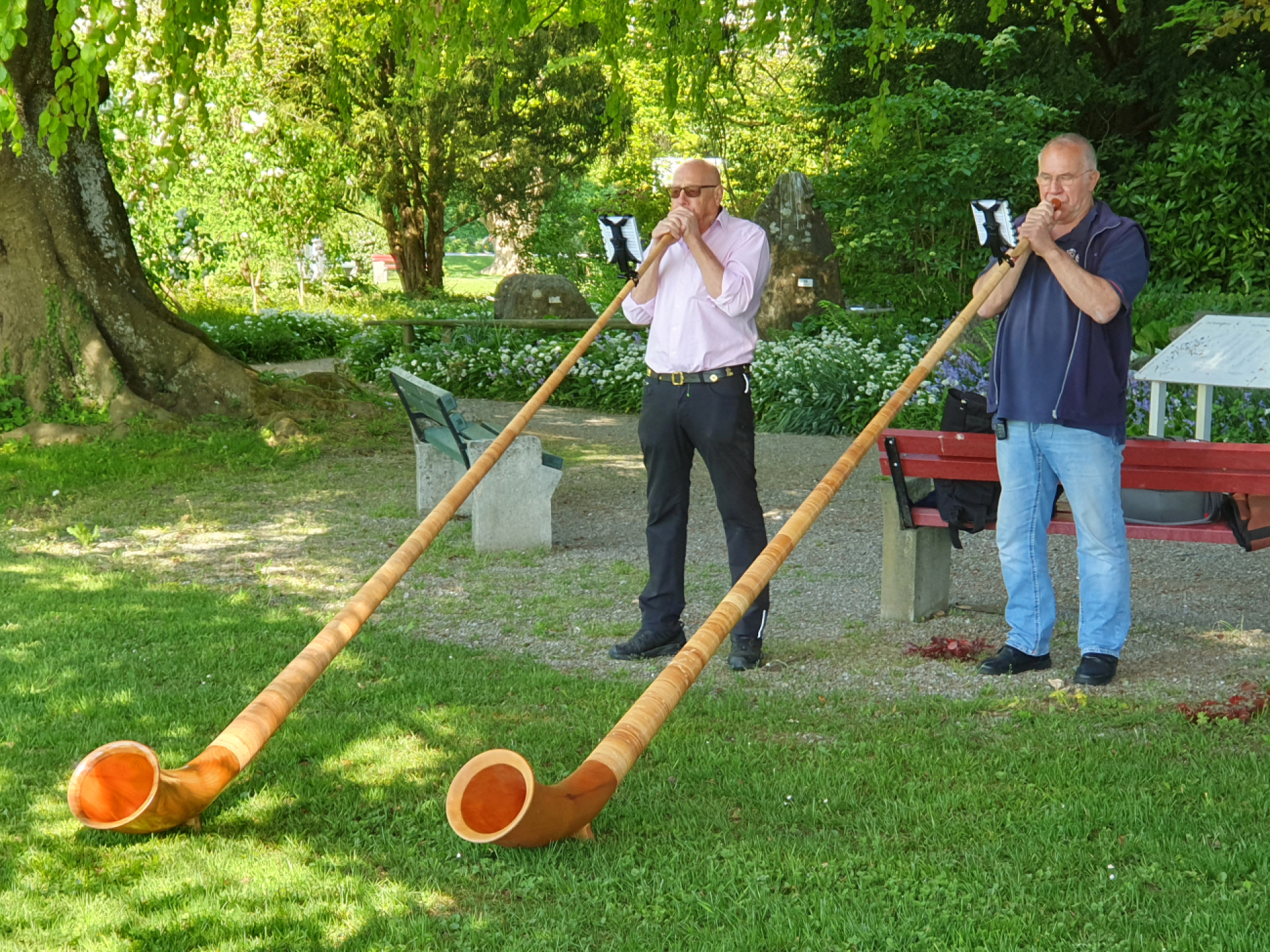 Harmonische Alphornklänge im Park