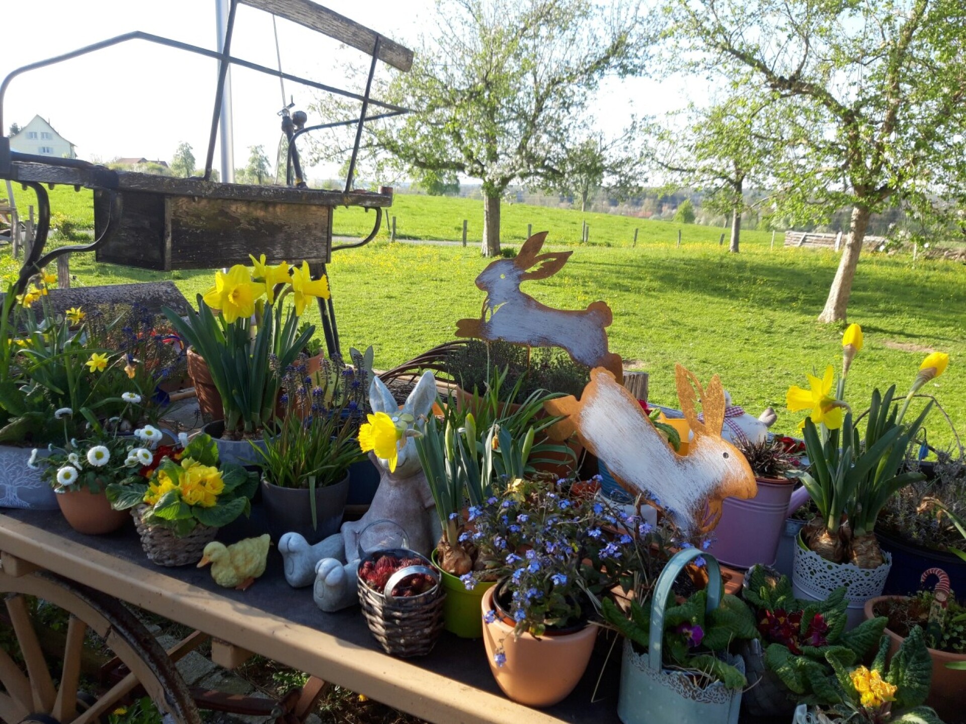 Gastwirtschaft «Zum Dornhof» - Das Bild wird blockiert. – Möglicherweise durch einen aktiven Adblocker.