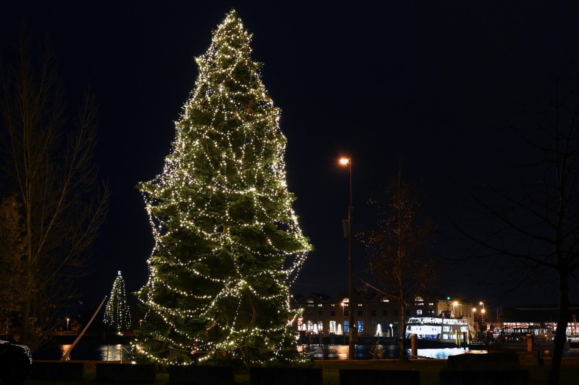 2025 wieder ein Christbaum am Hafen Romanshorn