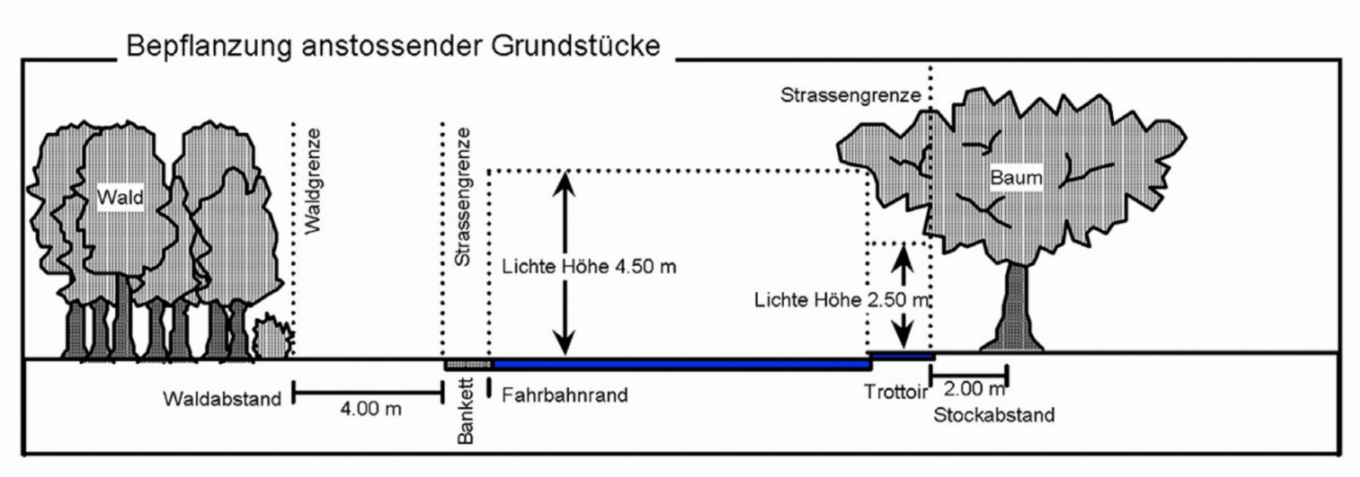 Rückschnitt von Bäumen und Sträuchern - Das Bild wird blockiert. – Möglicherweise durch einen aktiven Adblocker.