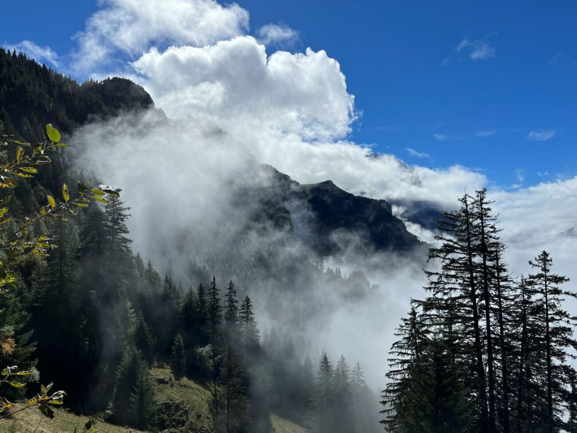 Bergwaldprojekt: Freiwillige gesucht - Das Bild wird blockiert. – Möglicherweise durch einen aktiven Adblocker.