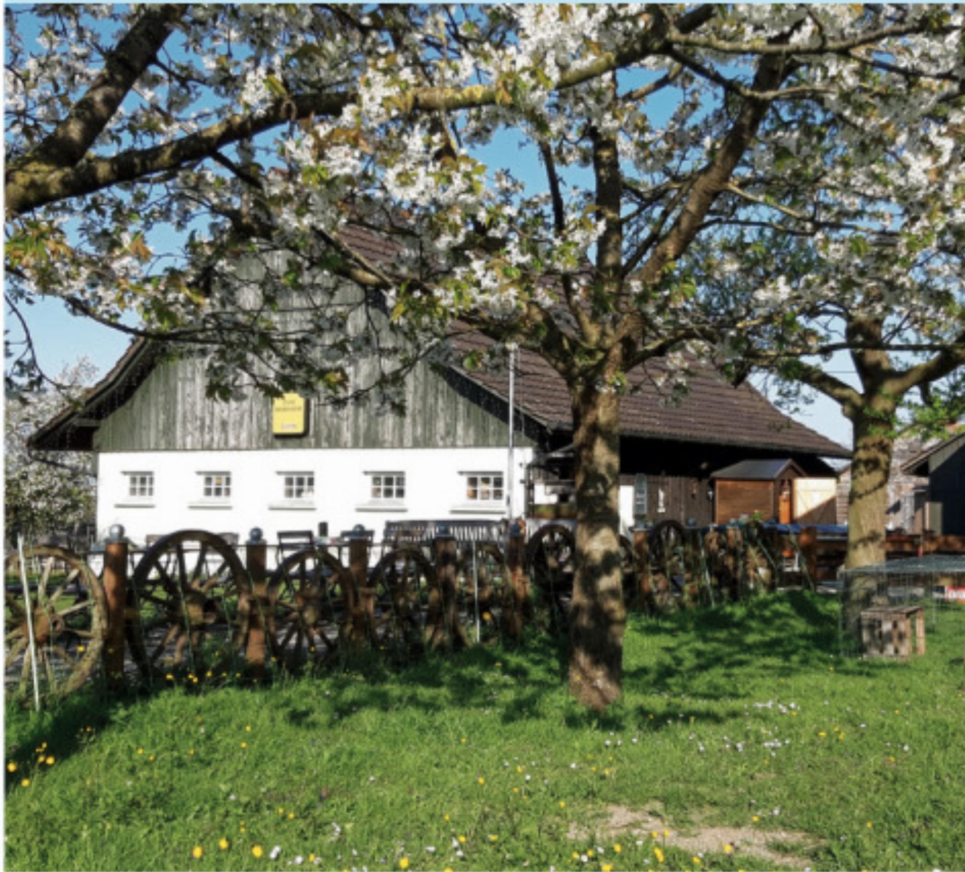 Gastwirtschaft «Zum Dornhof» - Das Bild wird blockiert. – Möglicherweise durch einen aktiven Adblocker.