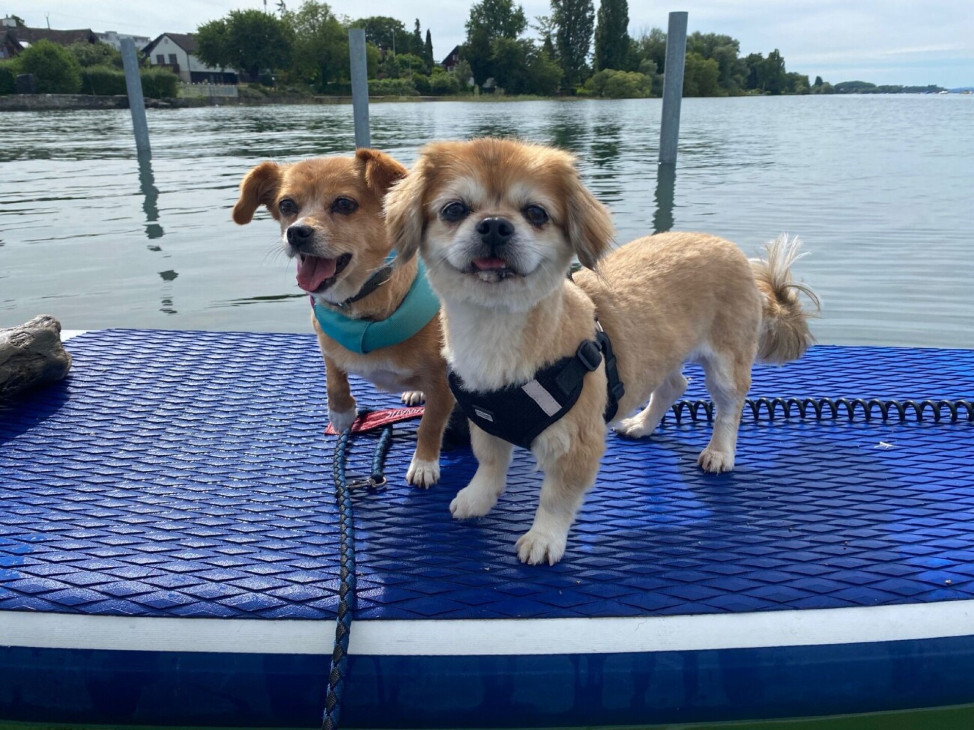 Jule und Kety am liebsten auf dem See