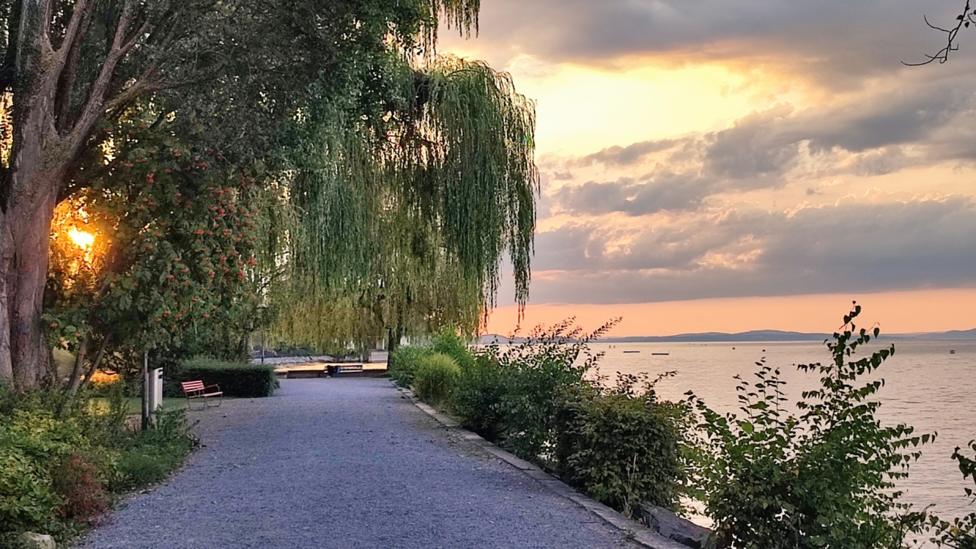 Vielleicht einer der letzten lauen Sommerabende