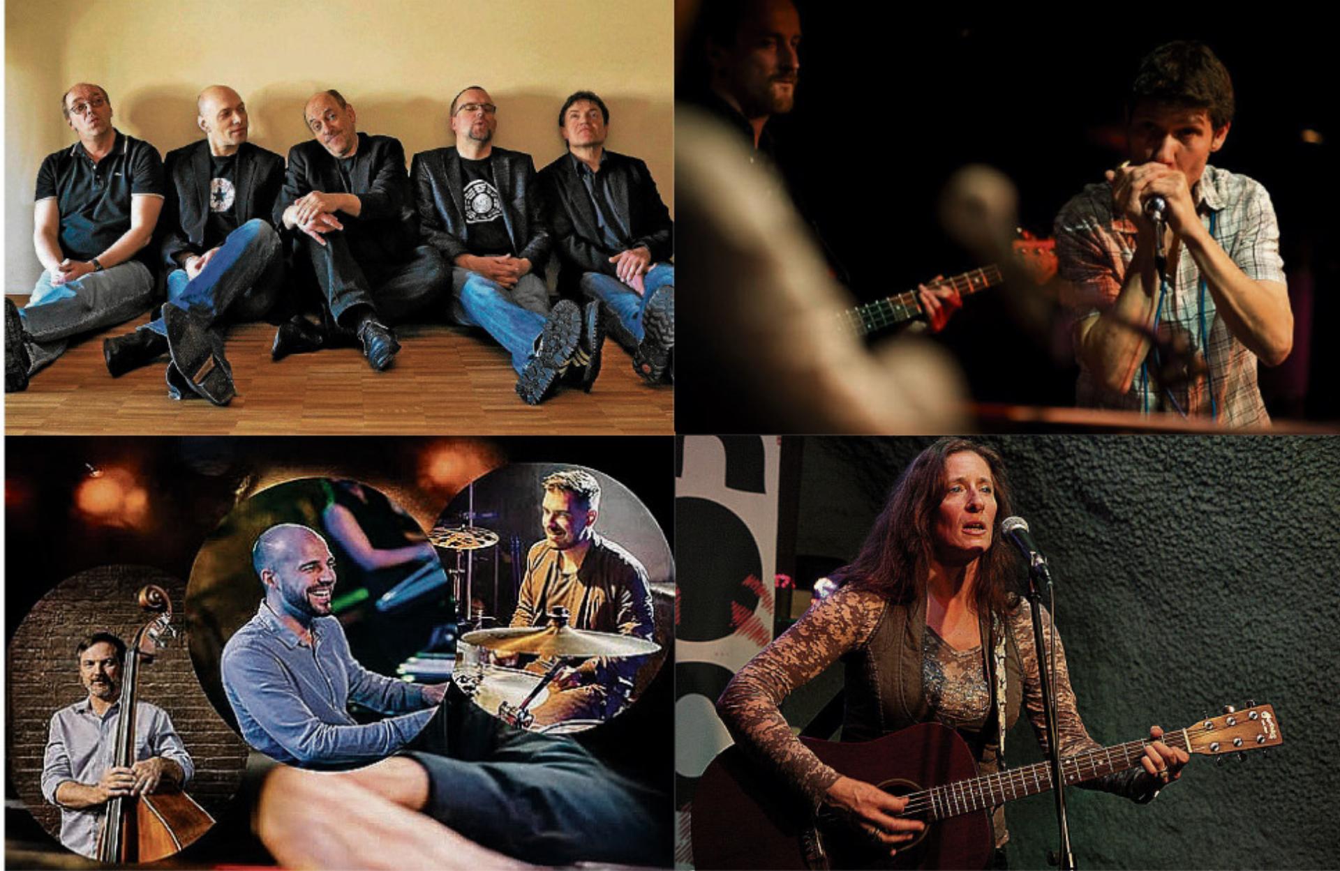 Der März 2026 im Panem am See - Das Bild wird blockiert. – Möglicherweise durch einen aktiven Adblocker.