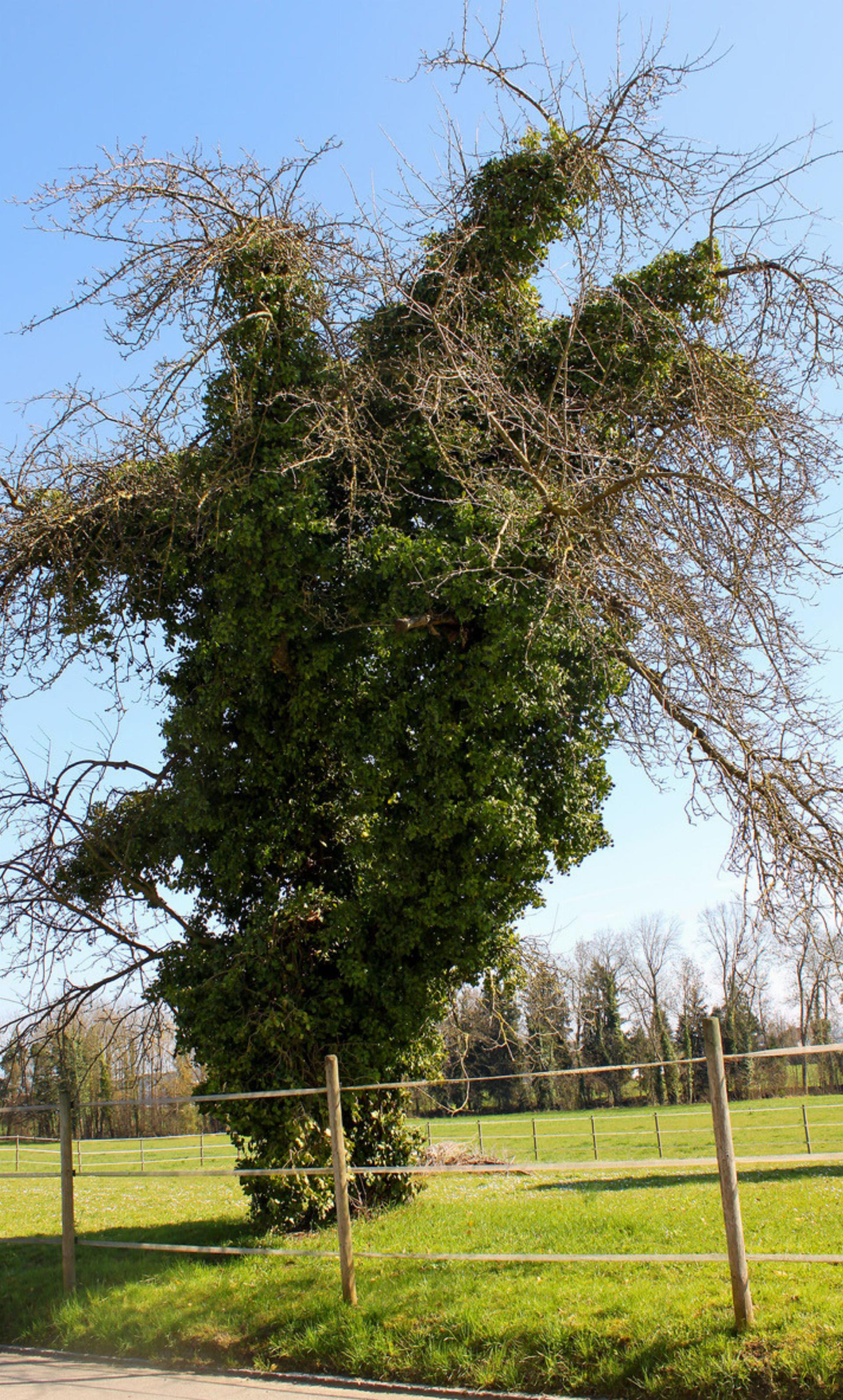 Momentaufnahmen in Hungerbühl - Das Bild wird blockiert. – Möglicherweise durch einen aktiven Adblocker.