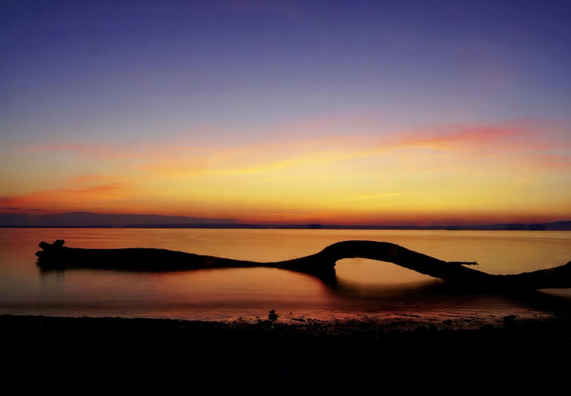 Öffentliche Fotochallenge des Fototeams Romanshorn - Das Bild wird blockiert. – Möglicherweise durch einen aktiven Adblocker.