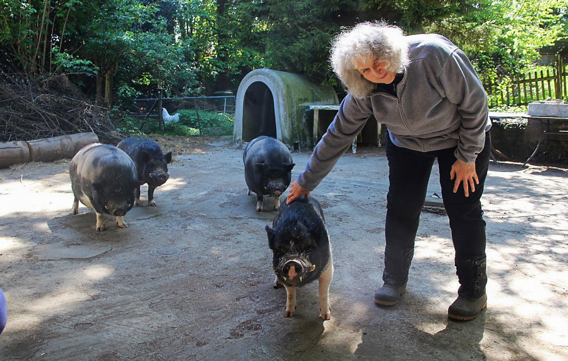 Gaby Zimmermann − ein Leben mit Herz, Mitgefühl und Humor - Das Bild wird blockiert. – Möglicherweise durch einen aktiven Adblocker.