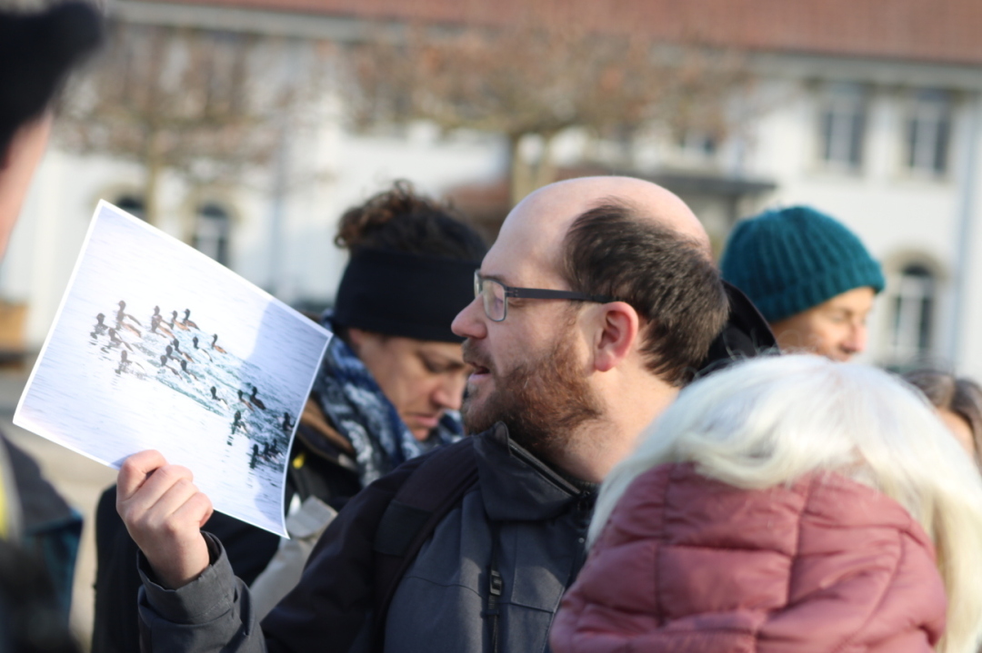 Blick auf das, was sich zurzeit auf dem See tummelt. Blick auf das, was sich zurzeit auf dem See tummelt.