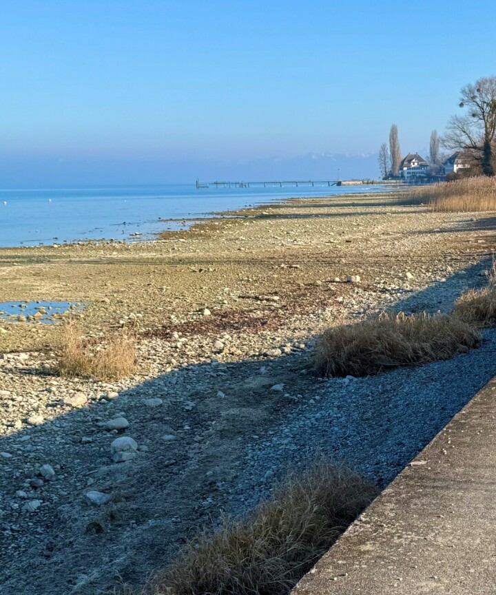 Leserfoto: Ruedi Dubs / 12 / 2026