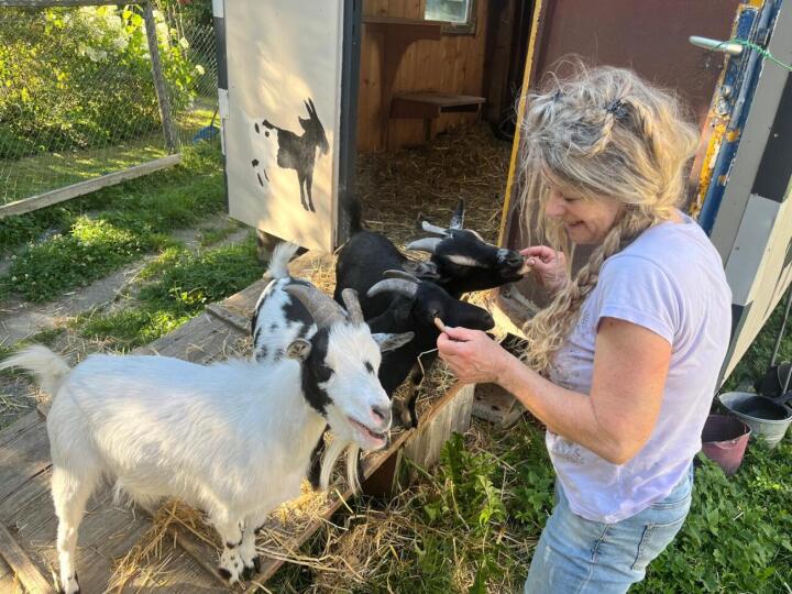 Astrid Sutter mit den drei Ziegen, die bald nicht mehr in Romanshorn sein werden. Fotos: Stöff Sutter