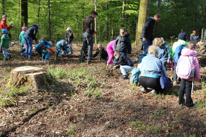 Fotos: Markus Bösch