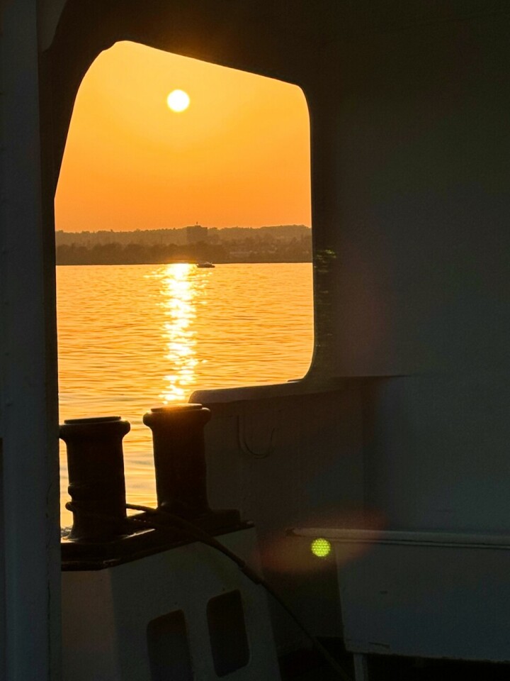 Leserfoto Ruedi Dubs / 22/ 2025