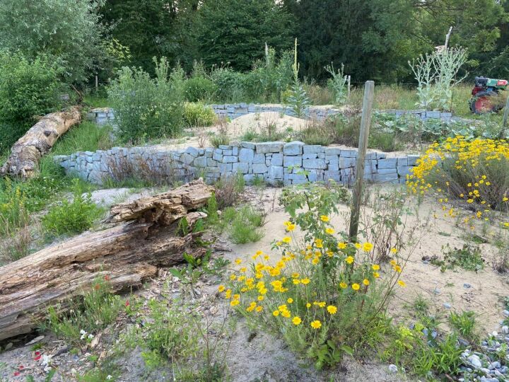 Die Wildbienenlandschaft im Naturschutzgebiet an der Aach umfasst sechs verschiedene Oberflächen, erstellt wurde sie 2021. Foto: Markus Bösch