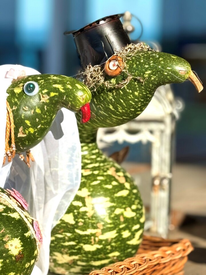 Leserfoto: Ruedi Dubs / 26 / 2025