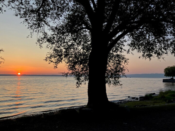 Leserfoto: Christa Burkhalter / 17 / 2025