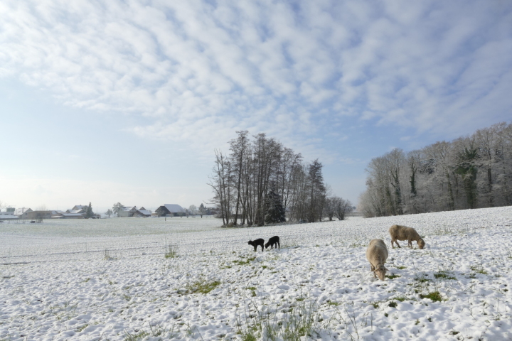 Leserfoto: Ursi Marthy / 105/ 2022