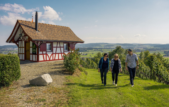 Den Thurgau von seiner geschmackvollen Seite erleben: wie hier auf dem «Kunst & Wein»-Weg am Iselisberg. Fotos: Thurgau Tourismus