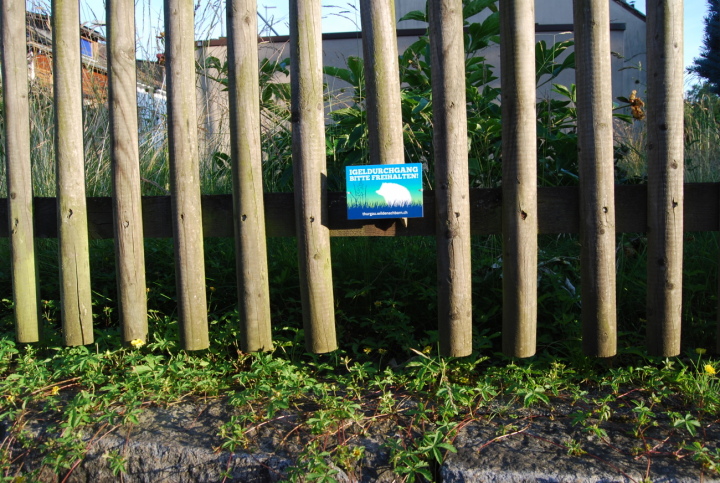 Ein Durchgang in einem Zaun hilft, damit Igel Zugang zu Gärten und Grünflächen erhalten. Foto: Julia Felber