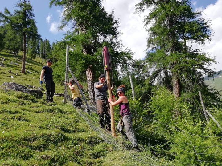 Sich gemeinsam und freiwillig für den Schutz des Bergwalds einsetzen. Das Bergwaldprojekt machts möglich. Fotos: Bergwaldprojekt Schweiz