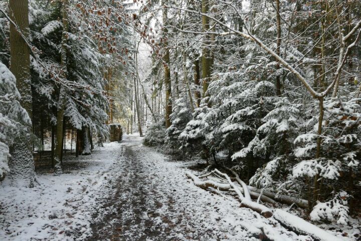 Leserfoto: Ursi Marthy / 103/2022