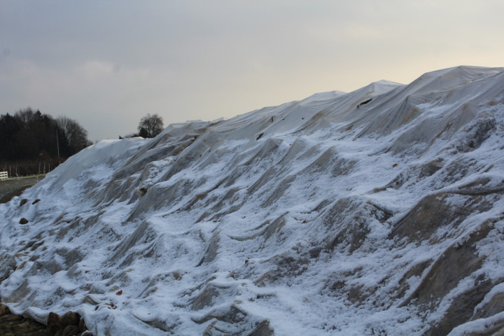 Foto: Trudi Krieg  / 2025 / 31