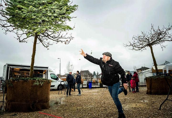 Voller Körpereinsatz am ersten Romanshorner Christbaumwerfen 2024. Foto: Andrea Tina Stalder, «Thurgauer Zeitung»