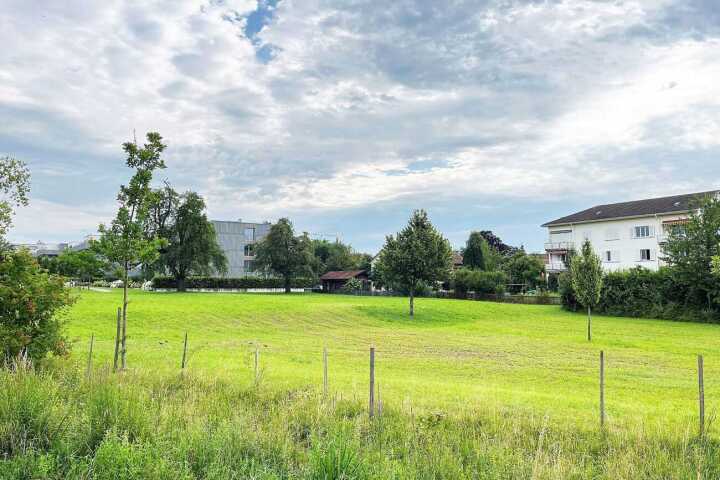 Die betroffenen Parzellen am Bachweg. Bild: Marco Bertschinger/Stadt Romanshorn