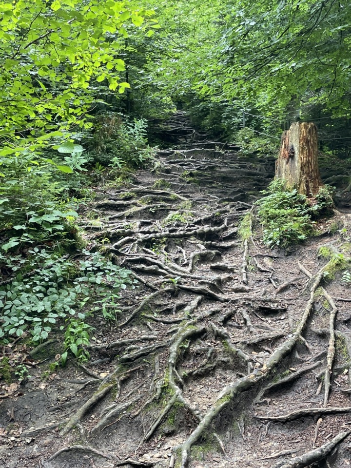 Foto: Monika Monn Foto: Monika Monn