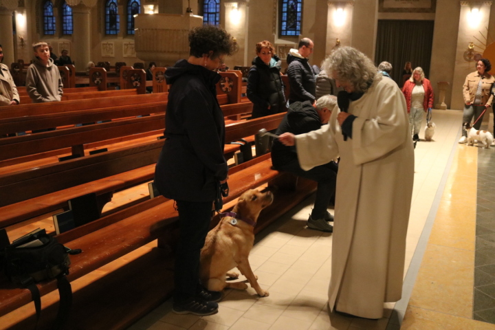 Tiere erhalten den Segen, denn sie gehören wie alles Leben zu Gottes Schöpfung. Fotos: Markus Bösch