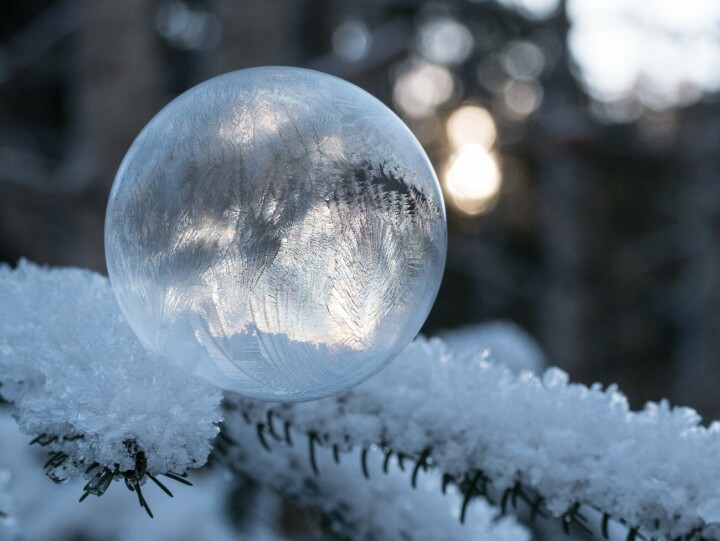 Dani Rüede / 1 / 2026