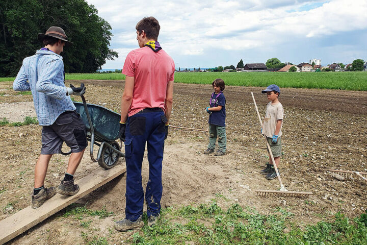 Die Pfadi Olymp im Einsatz für die Renaturierung des Geländes bei der Schiessanlage Monrüti. Bilder: Stadt Romanshorn/Marian Brenner