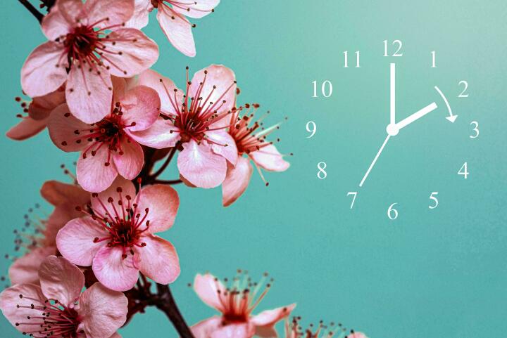 Foto: shutterstock