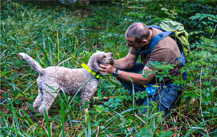 Ausgelegt, gefunden und angezeigt und dann gelobt: Auch mit dieser Arbeit hilft der Hund dem Menschen. Fotos: Markus Bösch