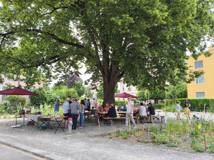 Gemeinschaft pflegen unter der grossen Linde im neu gestalteten Isola-Pärkli. Foto: Andreas Zech